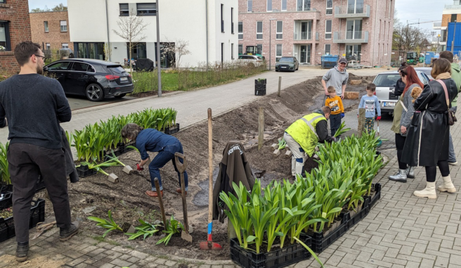 © IBA Hamburg / Karim Edzards Anwohnende bepflanzen eine Mulde