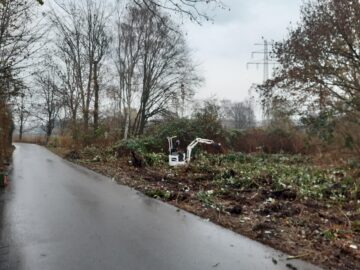 © IBA Hamburg / Thomas Waldau Auf einer Grünfläche neben einem Weg bearbeitet eine Person in einem Minibagger invasive Pflanzen.