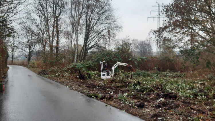 © IBA Hamburg / Thomas Waldau Auf einer Grünfläche neben einem Weg bearbeitet eine Person in einem Minibagger invasive Pflanzen.