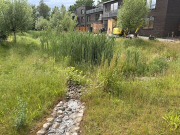 © IBA Hamburg / Arne von Maydell Flache, mit Natursteinen ausgekleidete Rinne führt Regenwasser in einen bepflanzten Speicherbereich.
