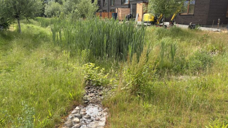 © IBA Hamburg / Arne von Maydell Flache, mit Natursteinen ausgekleidete Rinne führt Regenwasser in einen bepflanzten Speicherbereich.