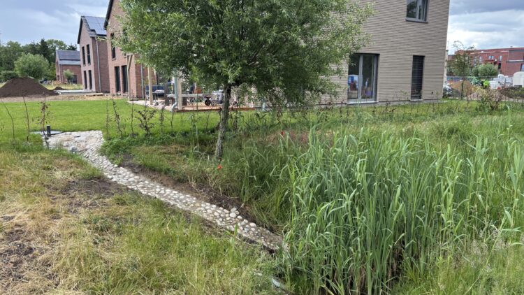 © IBA Hamburg / Arne von Maydell Wohnhaus mit angrenzender Grünfläche und offener Rinne, die Regenwasser in einen bepflanzten Graben leitet.