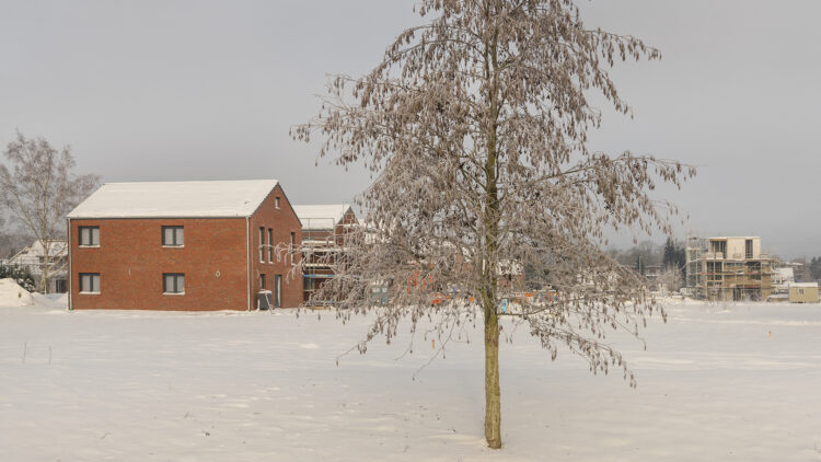 © IBA Hamburg / Martin Kunze Häuser und ein kleiner Baum im Schnee