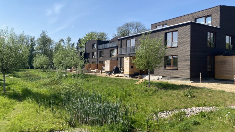 © IBA Hamburg Grünfläche im Quartier Georgswerder Kirchenwiese mit naturnaher Bepflanzung und angrenzenden Wohngebäuden der Baugemeinschaft de Upfüller
