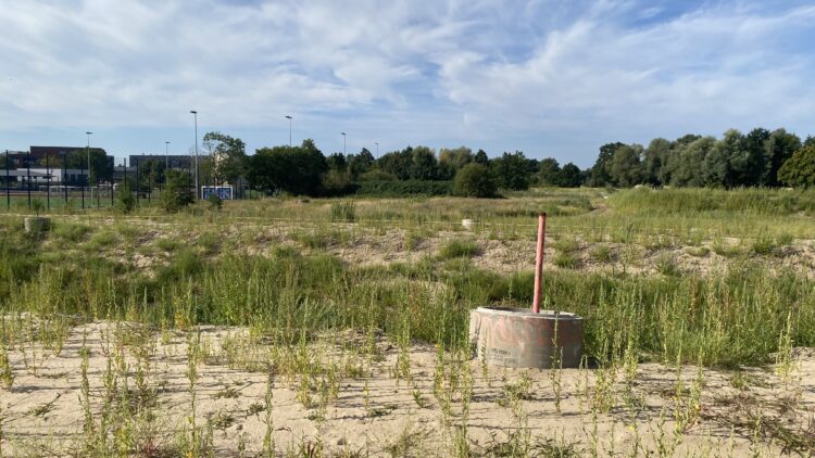 © IBA Hamburg Setzungspegel mit Betoneinfassung und Messrohr auf der Sandaufschüttung.