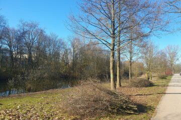 © IBA Hamburg / Arne von Maydell Baumreihe mit davor liegenden Zweigen