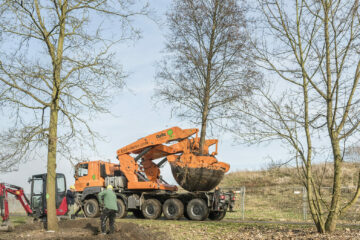 © IBA Hamburg / Martin Kunze Verpflanzmaschine mit ausgegrabenem Baum