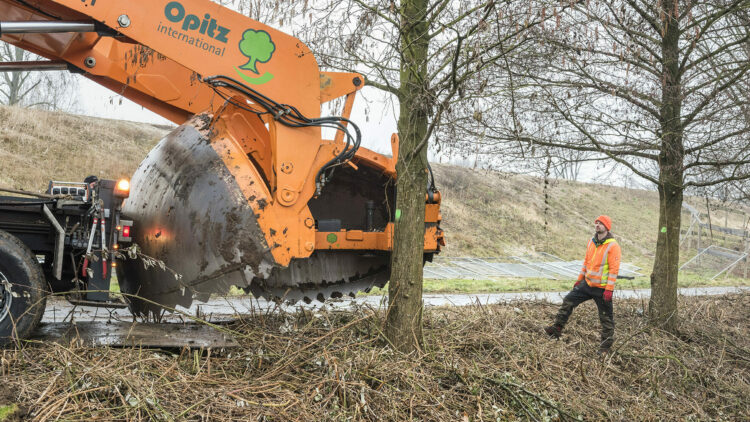 © IBA Hamburg / Martin Kunze Verpflanzmaschine nähert sich dem zu verpflanzenden Baum. Ein Arbeiter koordiniert die Aktion.