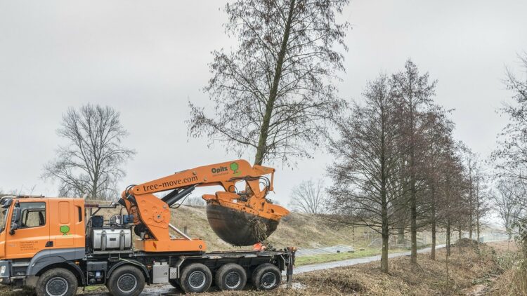 © IBA Hamburg / Martin Kunze Baum wird maschinell ausgehoben