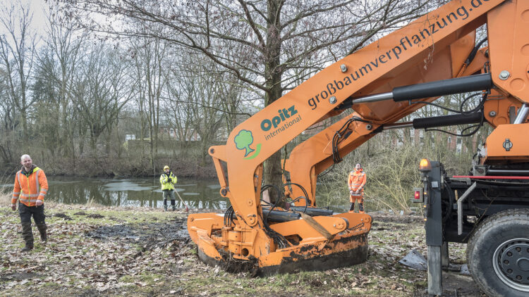 © IBA Hamburg / Martin Kunze Der Baum wird maschinell abgesetzt