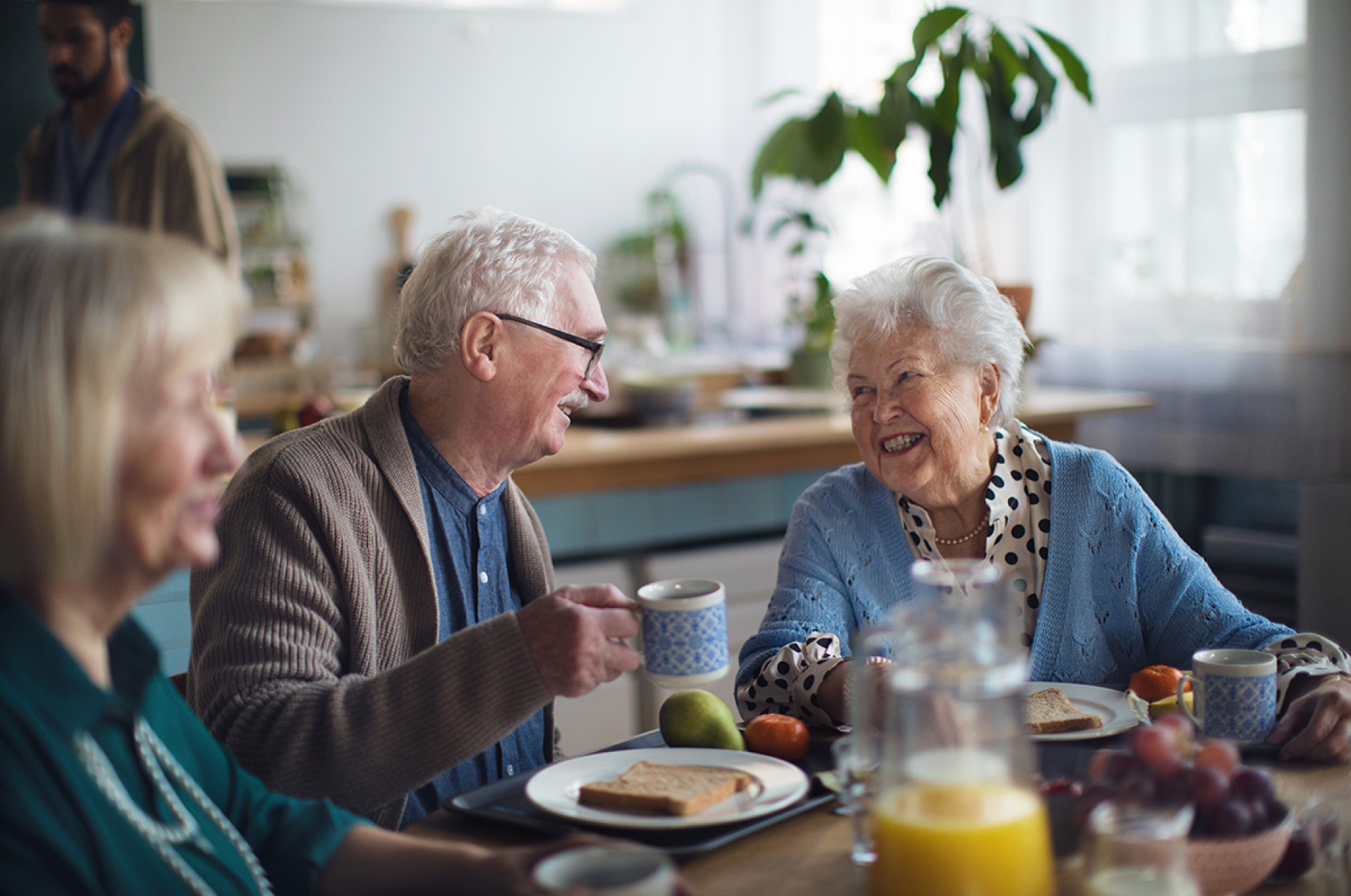 Iba marktplatz dummy3