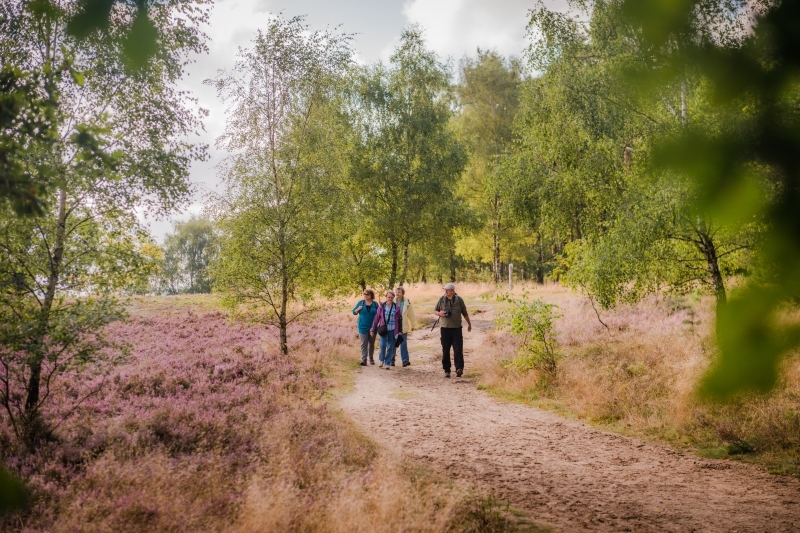 Fischbeker Heide