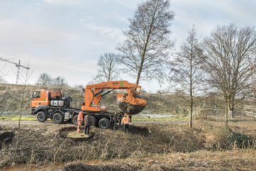 © IBA Hamburg / Martin Kunze ein großer Baum wird von einer Verpflanzmaschine transportiert