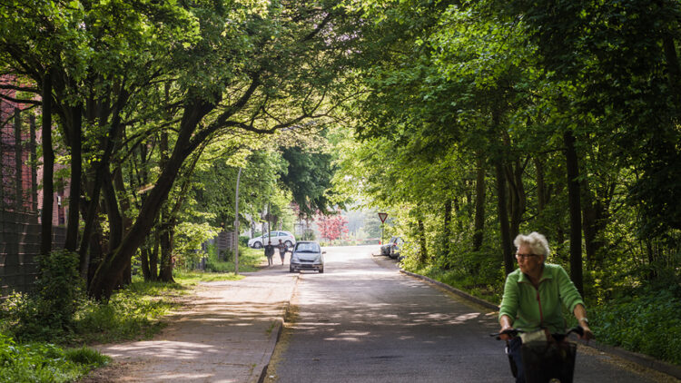 © IBA Hamburg GmbH / Johannes Arlt