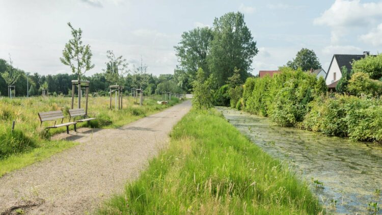 © IBA Hamburg / Martin Kunze Arbeits- und Schauweg entlang der Brackwettern (Sommer 2023)