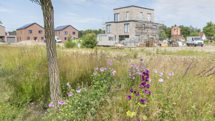 © IBA Hamburg / Martin Kunze im Bau befindliches Haus, davor Grünraum
