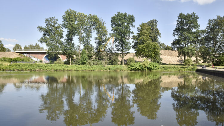 © IBA Hamburg / Martin Kunze Gewässer mit umliegendem Grünraum und einer Brücke im Hintergrund