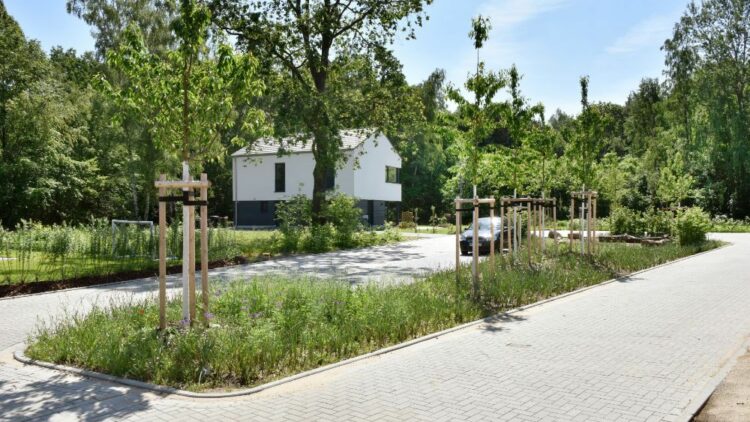 © IBA Hamburg GmbH / Martin Kunze Begrünter Wohnhof im Fischbeker Heidbrook