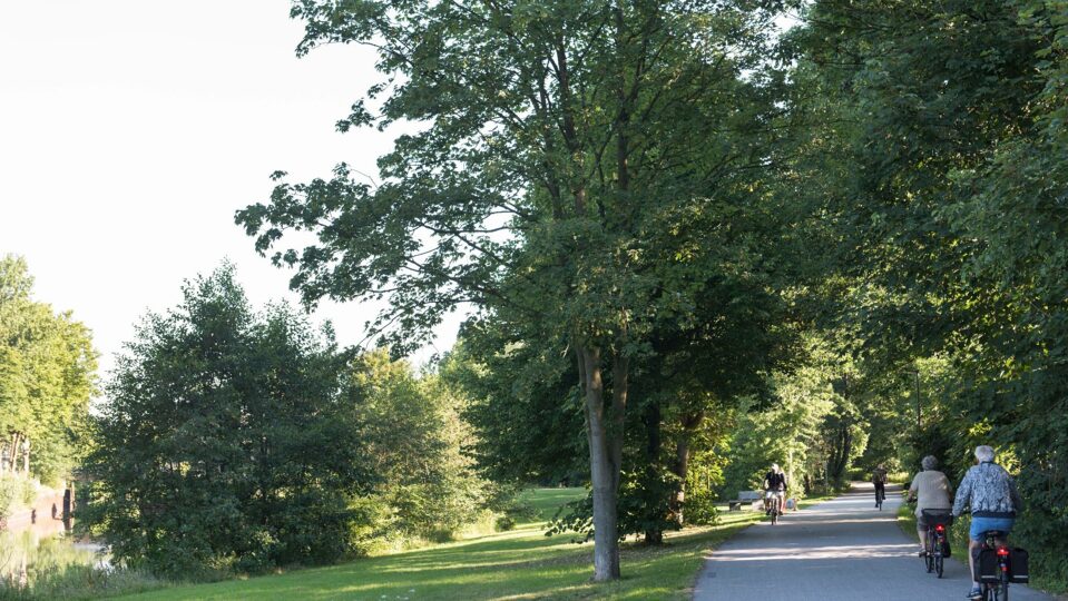 8 Wilhelmsburger Rathausviertel Radweg Aßmannkanal