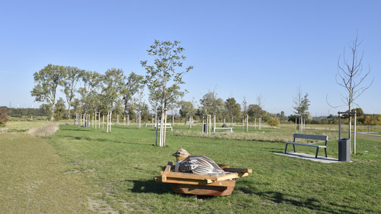 © IBA Hamburg GmbH / Martin Kunze