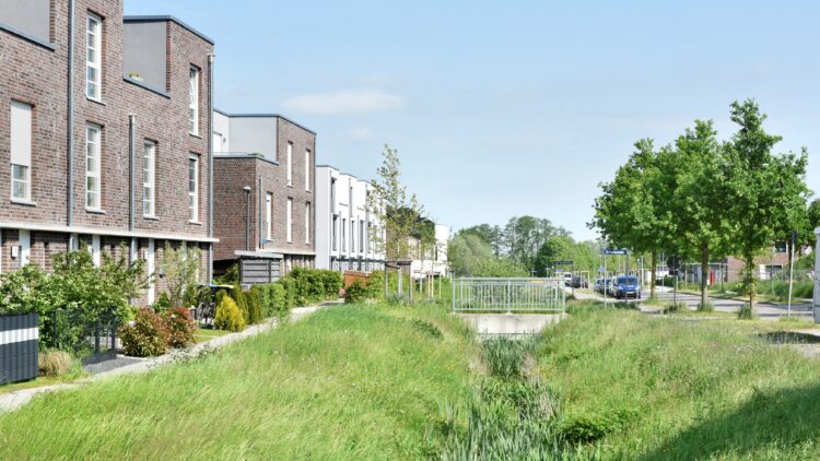 © IBA Hamburg / Martin Kunze Begrünte oberflächennahe Entwässerungsmulde im IBA Hamburg Quartier Vogelkamp Neugraben