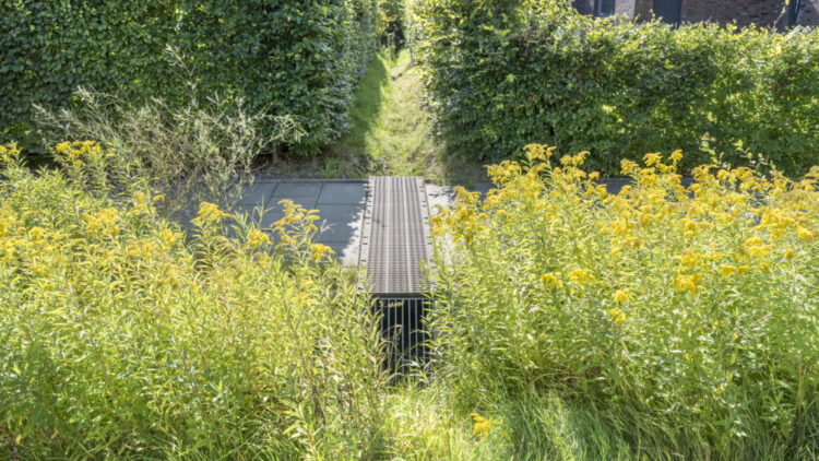 © IBA Hamburg / Martin Kunze Begrünte Mulde/Rinne zur Entwässerung im Quartier Fischbeker Heidbrook