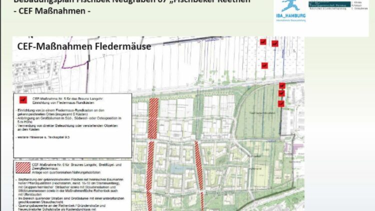 IBA Hamburg Auszug aus den Maßnahmen zum Schutz von Fledermäusen in den Fischbeker Reethen