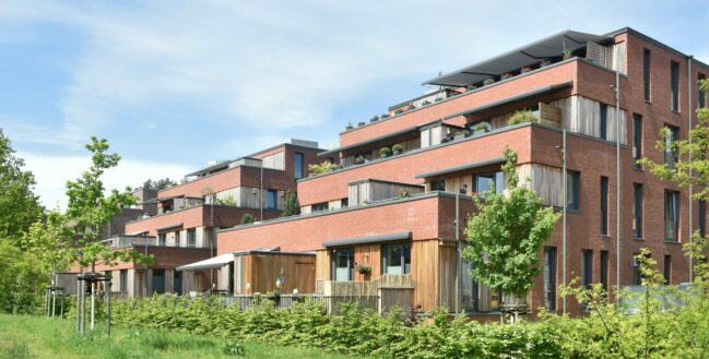 Fischbeker Heidbrook Juni 20212